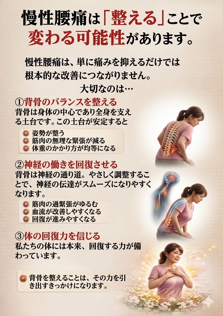 慢性腰痛は「整える」ことで変わる可能性があります  慢性腰痛は、
単に痛みを抑えるだけでは根本的な改善につながりません。  大切なのは、  ✔ 背骨のバランスを整えること
✔ 神経の流れをスムーズにすること
✔ 本来の回復力を引き出すこと  この3つです。   ① 背骨のバランスを整える  背骨は体の中心であり、
全身を支える“土台”です。  この土台が安定すると、  ・姿勢が整う
・筋肉の無理な緊張が減る
・体重のかかり方が均等になる  結果として、腰への負担が軽減します。   ② 神経の働きを回復させる  背骨は神経の通り道。  やさしく調整することで、
神経の伝達がスムーズになりやすくなります。  神経が正しく働くと、  ✔ 筋肉の過緊張がゆるむ
✔ 血流が改善しやすくなる
✔ 回復が進みやすくなる  体は“治る方向”へ動き始めます。   ③ 体の回復力を信じる  私たちの体には本来、
回復する力が備わっています。  しかし、背骨のバランスが崩れると
その力が十分に発揮されません。  背骨を整えることは、
その力を引き出すきっかけになります。