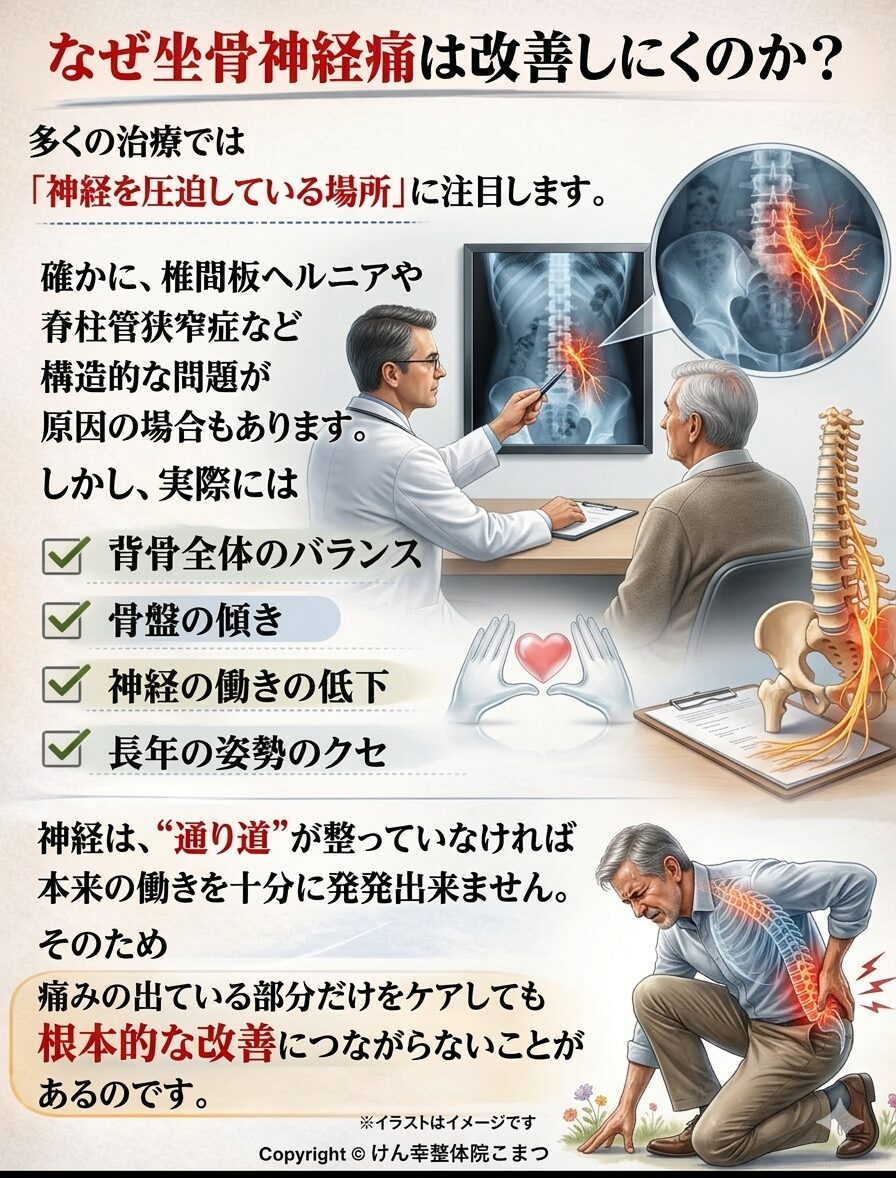 なぜ坐骨神経痛は改善しにくいのか？  多くの治療では、  「神経を圧迫している場所」に注目します。  確かに、椎間板ヘルニアや脊柱管狭窄症など、
構造的な問題が原因の場合もあります。  しかし実際には、  ✔ 背骨全体のバランス
✔ 骨盤の傾き
✔ 神経の働きの低下
✔ 長年の姿勢のクセ  が重なり合って症状が出ているケースも少なくありません。  神経は“通り道”が整っていなければ、
本来の働きを十分に発揮できません。  そのため、
痛みの出ている部分だけをケアしても、
根本的な改善につながらないことがあるのです。