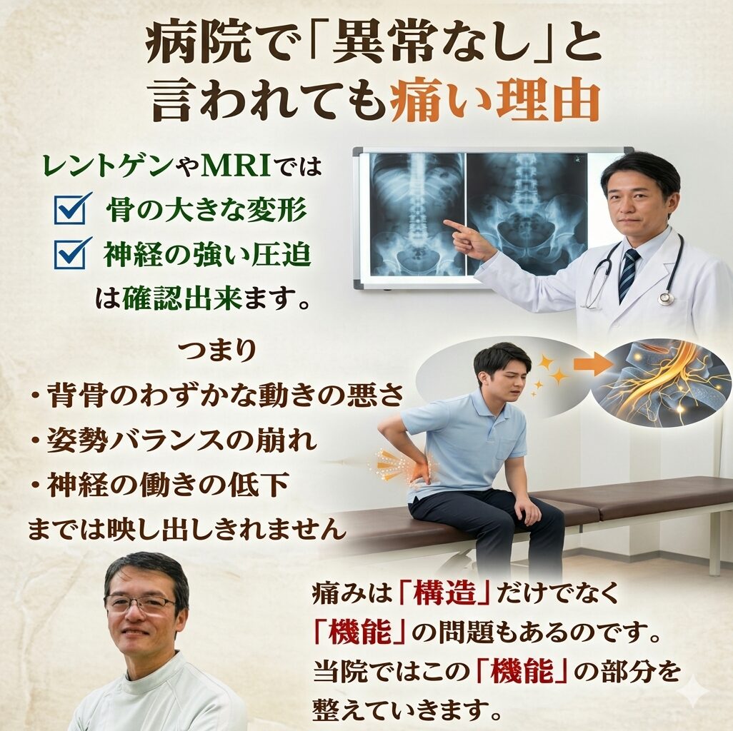 病院で「異常なし」と言われても痛い理由  レントゲンやMRIでは  ✔ 骨の大きな変形
✔ 神経の強い圧迫  などは確認できます。  しかし、  ・背骨のわずかな動きの悪さ
・姿勢バランスの崩れ
・神経の働きの低下  までは映し出されません。  つまり  痛みは「構造」だけでなく
「機能」の問題でもあるのです。  当院では、この「機能」の部分を整えていきます。
