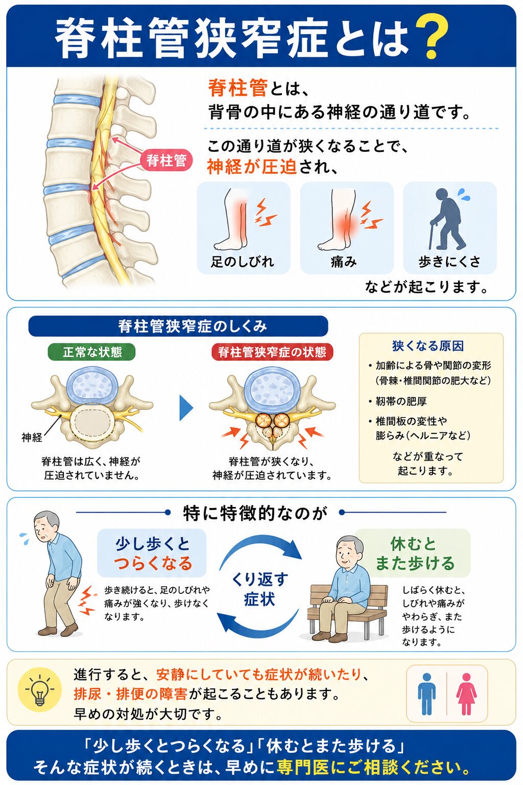 脊柱管狭窄症とは？  脊柱管とは、
背骨の中にある神経の通り道です。  この通り道が狭くなることで、
神経が圧迫され、  ・足のしびれ
・痛み
・歩きにくさ  などが起こります。  特に特徴的なのが  👉 少し歩くとつらくなる
👉 休むとまた歩ける  という症状です。