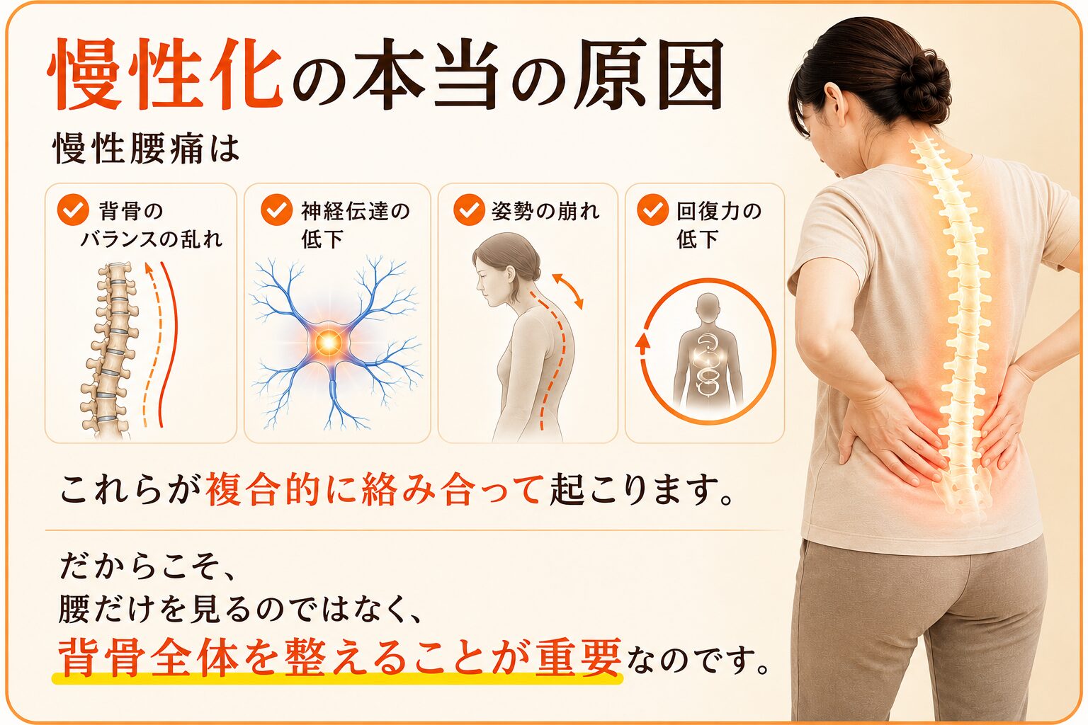 慢性化の本当の原因  慢性腰痛は  ✔ 背骨のバランスの乱れ
✔ 神経伝達の低下
✔ 姿勢の崩れ
✔ 回復力の低下  これらが複合的に絡み合って起こります。  だからこそ、
腰だけを見るのではなく、
背骨全体を整えることが重要なのです。