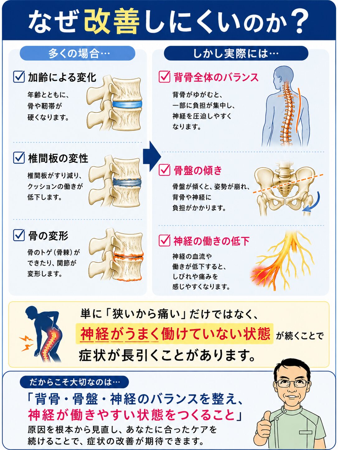 なぜ改善しにくいのか？多くの場合✔加齢による変化✔椎間板の変性✔骨の変形。しかし実際には✔背骨全体のバランス✔骨盤の傾き✔神経の働きの低下。単に「狭いから痛い」だけではなく、神経がうまく働けていない状態が続くことで症状が長引くことがあります。