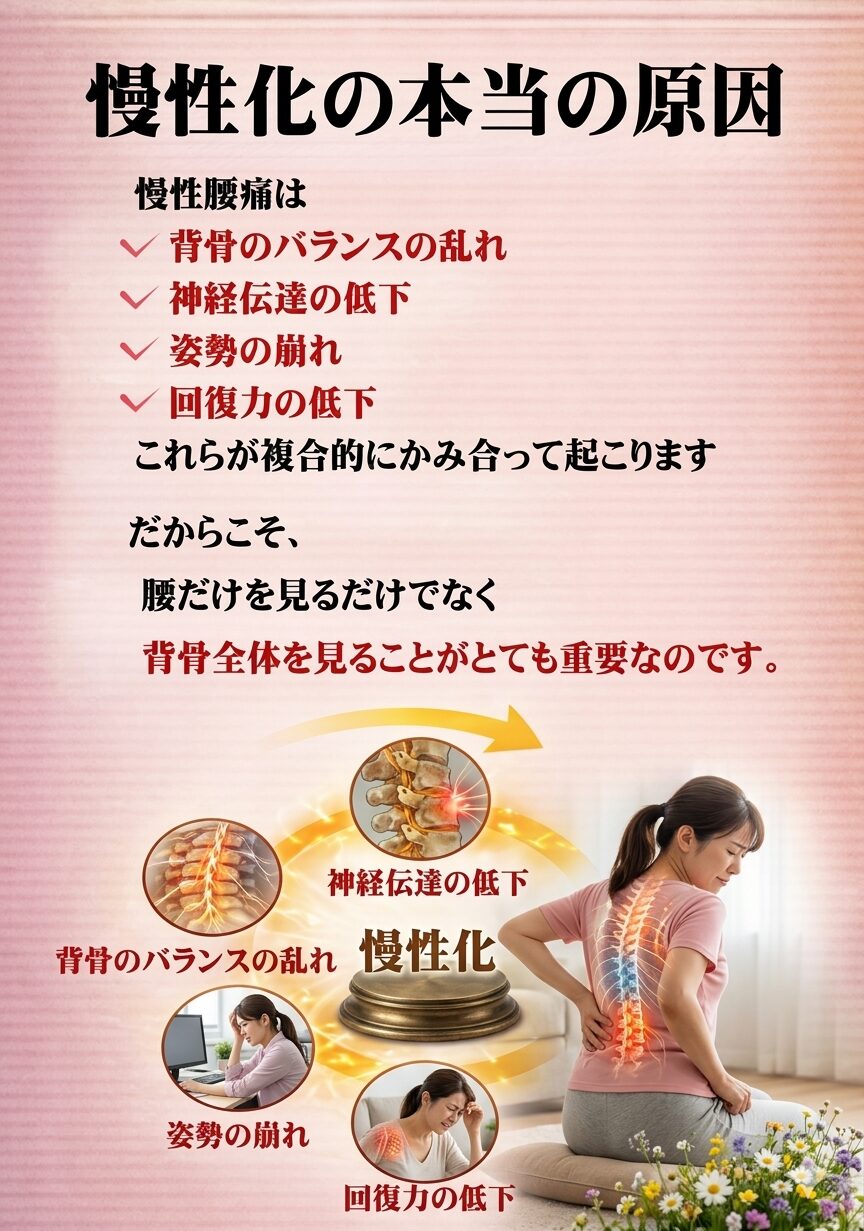 慢性化の本当の原因  慢性腰痛は  ✔ 背骨のバランスの乱れ
✔ 神経伝達の低下
✔ 姿勢の崩れ
✔ 回復力の低下  これらが複合的に絡み合って起こります。  だからこそ、
腰だけを見るのではなく、
背骨全体を整えることが重要なのです。