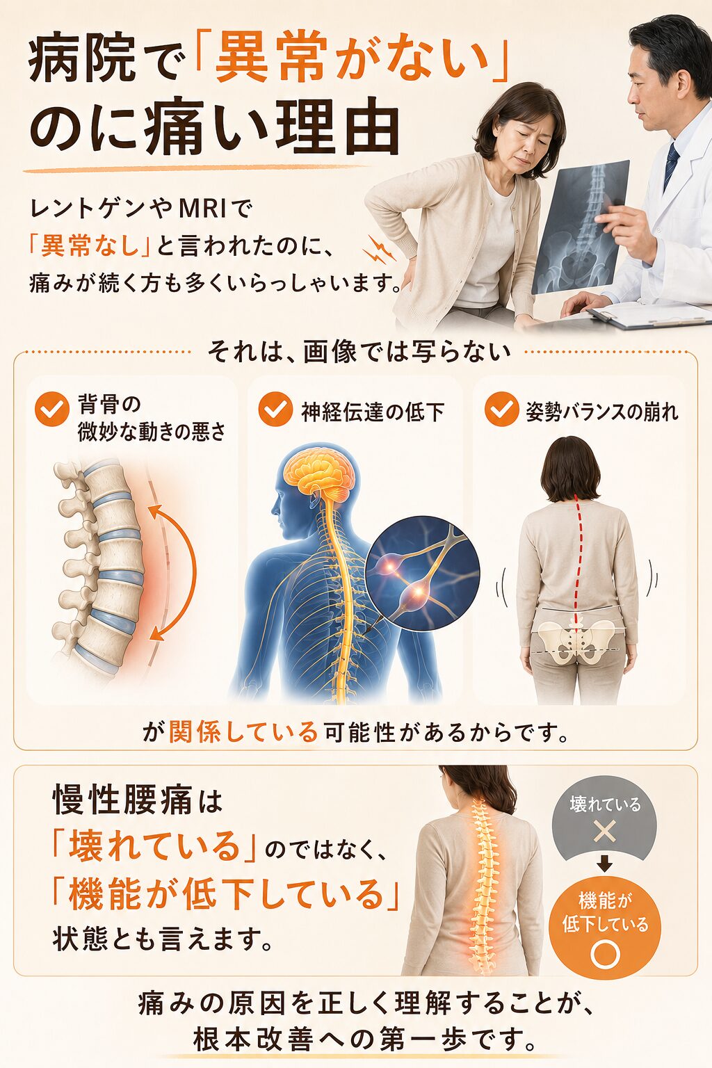 病院で「異常がない」のに痛い理由  レントゲンやMRIで「異常なし」と言われたのに、
痛みが続く方も多くいらっしゃいます。  それは、画像では写らない  ✔ 背骨の微妙な動きの悪さ
✔ 神経伝達の低下
✔ 姿勢バランスの崩れ  が関係している可能性があるからです。  慢性腰痛は「壊れている」のではなく、
「機能が低下している」状態とも言えます。