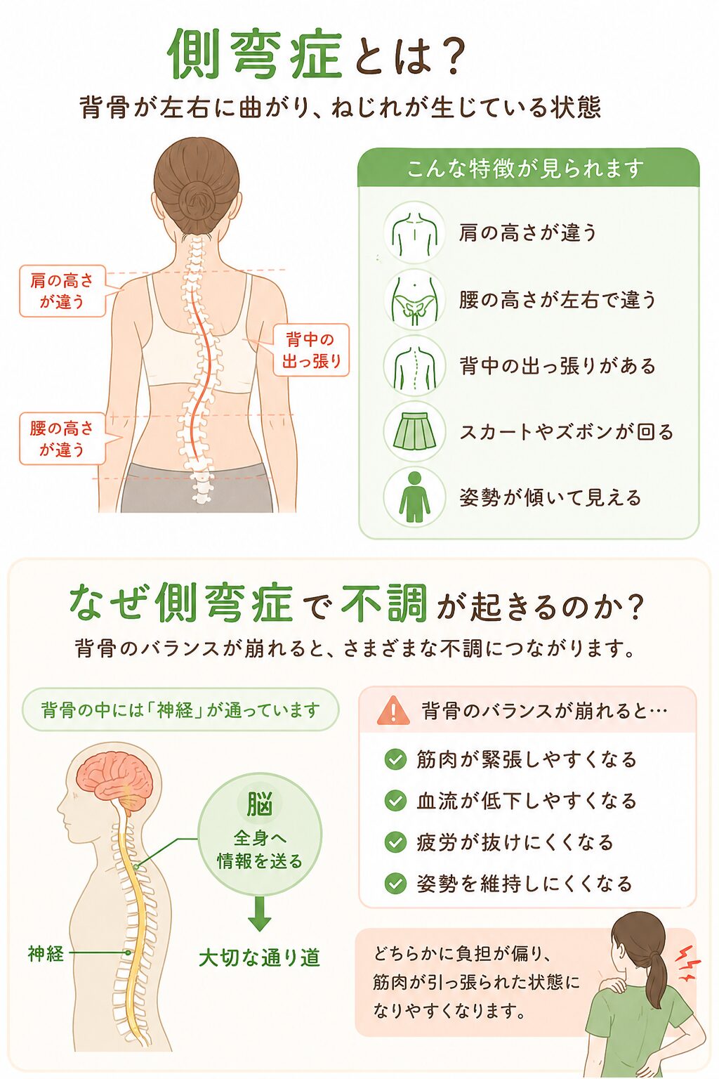 側弯症とは？  側弯症とは、背骨が左右に曲がったり、ねじれたりしている状態のことです。  正常な背骨は、横から見るとゆるやかなS字カーブをしていますが、
側弯症では正面から見た時に背骨が左右へ曲がって見えることがあります。  特に、  ・肩の高さが違う
・腰の高さが左右で違う
・背中の出っ張りがある
・スカートやズボンが回る
・姿勢が傾いて見える  などが特徴として現れることがあります。