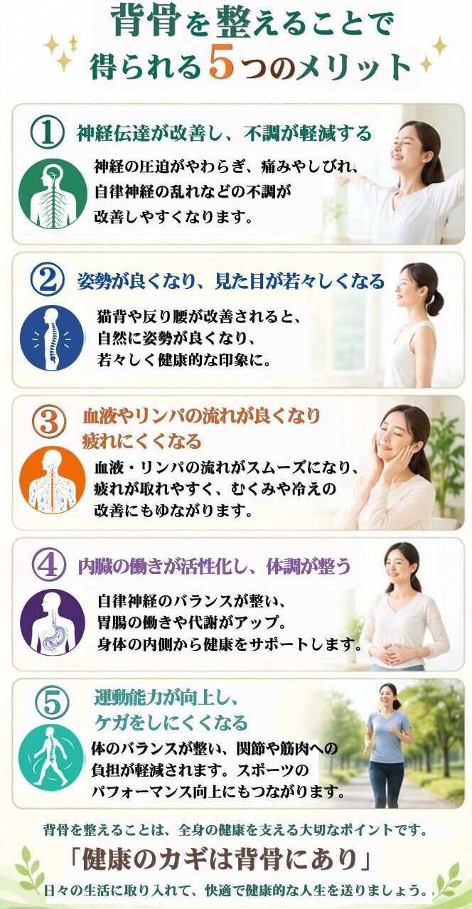 背骨を整えることで得られる５つのメリット　①神経伝達がやわらぎ、痛みやしびれ、自律神経の乱れなどの不調が改善しやすくなります。②姿勢が良くなり、見た目が若々しくなる。姿勢や反り腰が改善されると、自然に姿勢が良くなり、若々しく健康的な印象に。③血液やリンパの流れが良くなり疲れにくくなる。血液やリンパの流れがスムーズになり、疲れが取れやすく、むくみや冷えの改善にもつながります。④内臓の働きが活性化し、体調が整う。自律神経のバランスが整い、胃腸の働きや代謝がアップ、身体の内臓から健康をサポートします。⑤運動能力が向上し、けがをしにくくなる。体のバランスが整い、関節や筋肉への負担が軽減されます。スポーツのパフォーマンス向上につながります。背骨を整えることは、全身の健康を整える大切なポイントです。「健康のカギは背骨にあり」日々の生活に取り入れて快適で健康的な生活を送りましょう。