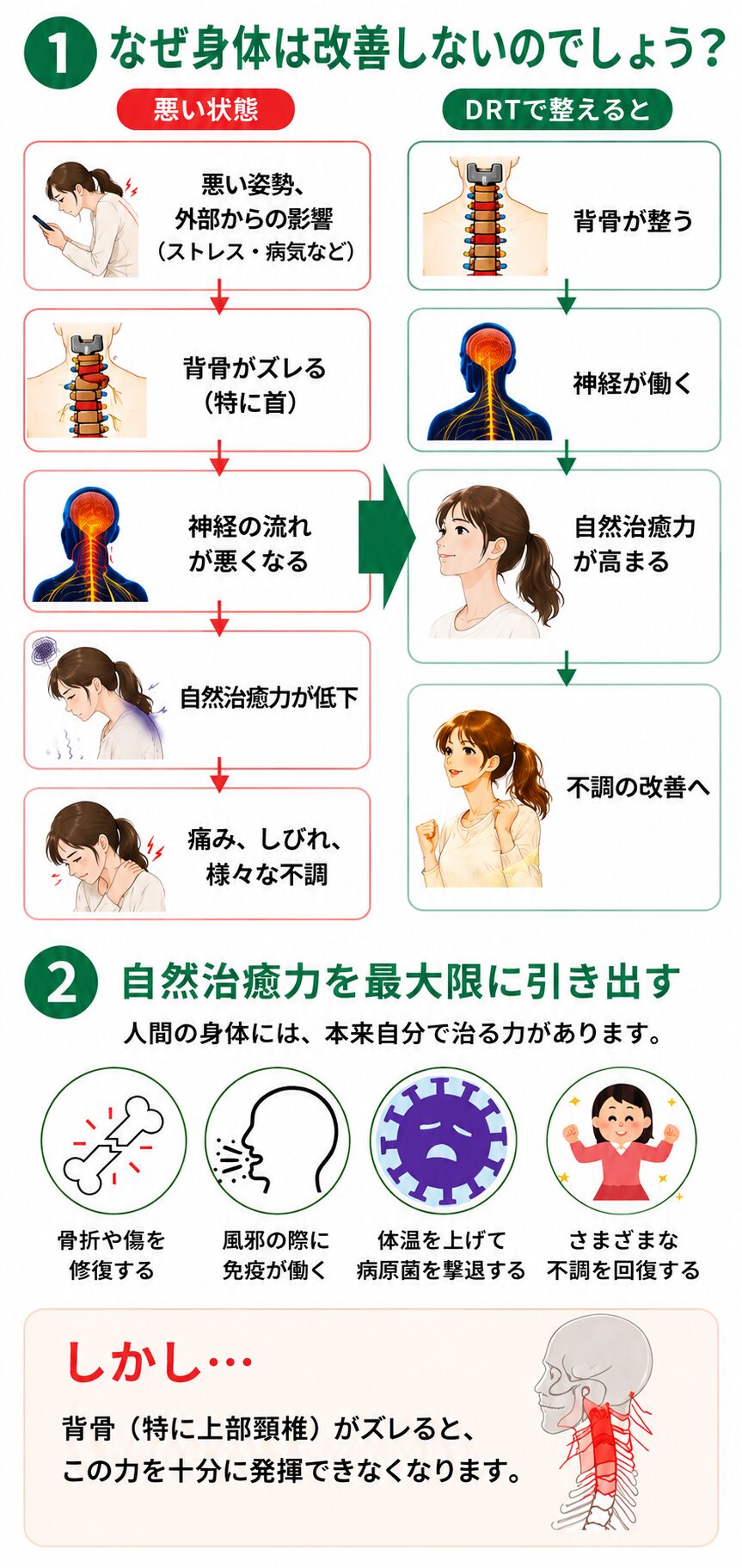 ①なぜ身体は改善しないのでしょうか？悪い状態：悪い姿勢、外部からの影響（ストレス・病気など）→背骨がズレる→神経の流れが悪くなる→自然治癒力が低下→痛み、しびれ、様々な不調。DRTで整えると→背骨が整う→神経が働く→自然治癒力が高まる→不調の改善へ　②自然治癒力を最大限に引き出す。人間の身体には本来自分で治る力があります。骨折や傷を修復する。風邪の際に免疫が働く。体温を上げて病原菌を撃退する。様々な不調を回復する。しかし…背骨（上部頸椎）がズレるとこの力を十分に発揮できなくなります。