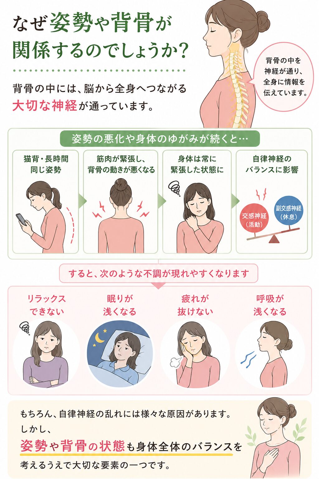 なぜ姿勢や背骨が関係するのでしょうか？  背骨の中には、脳から全身へつながる大切な神経が通っています。  猫背や長時間同じ姿勢、身体のゆがみが続くことで、筋肉が緊張し、背骨の動きが悪くなることがあります。  すると身体は常に緊張した状態になりやすく、  ・リラックスできない  ・眠りが浅くなる  ・疲れが抜けない  ・呼吸が浅くなる  など、自律神経のバランスにも影響を与える場合があります。  もちろん、自律神経の乱れには様々な原因があります。  しかし、姿勢や背骨の状態も身体全体のバランスを考えるうえで大切な要素の一つです。