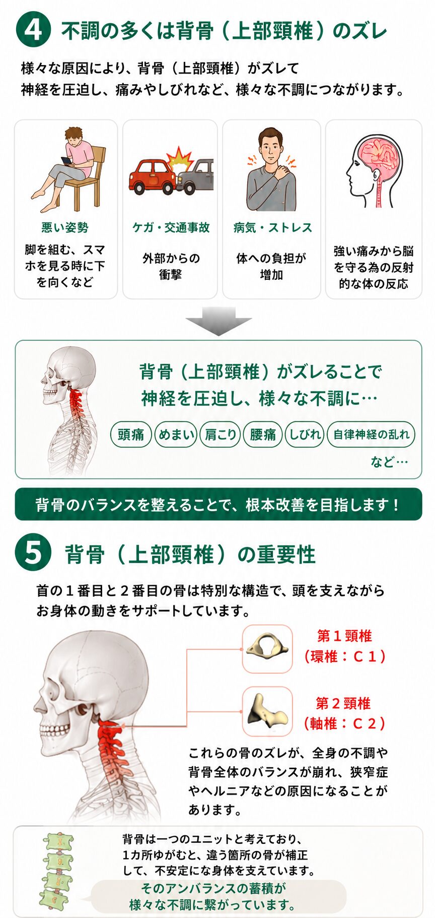 ④不調の多くは背骨（上部頸椎）のズレ　様々な原因により、背骨（上部頸椎）ズレて様々な不調につながります。・悪い姿勢（脚を組む、スマホ見るときに下を向くなど）・ケガや交通事故（外部からの衝撃）・病気やストレス（体への負担が増加）・自己防衛反応（強い痛みから脳を守るための反射的な体の反応）頭痛、めまい、肩こり、腰痛、しびれ、自律神経の乱れなどは、背骨のバランスを整えることで根本改善を目指します。  首（上部頸椎）の重要性
首の1番目と2番目の骨は特別な構造で、頭を支えながらお身体の動きをサポートしています。 これらの骨のズレが、全身の不調や背骨全体のバランスの崩れ、狭窄症やヘルニアなどの原因になることがあります。背骨は、一つのユニットと考えており、1ヶ所ゆがむと、違う箇所の骨が補正して、不安定にお身体を支えています。そのアンバランスの蓄積が様々な不調に繋がっています。
