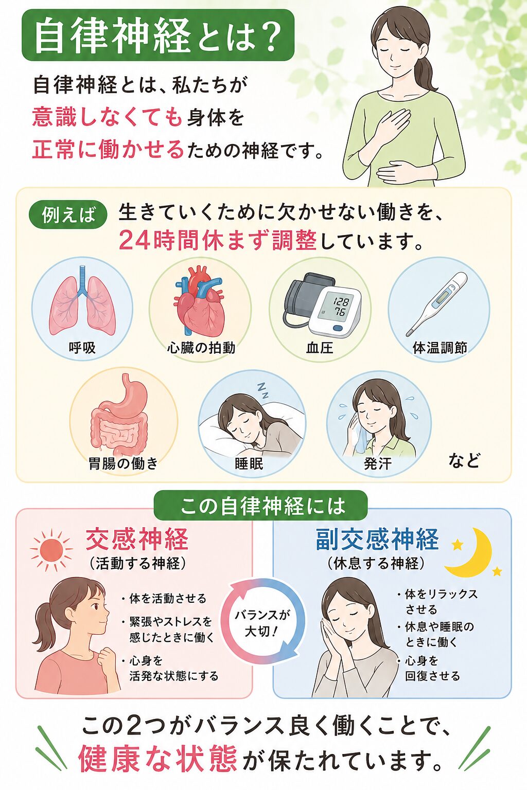 自律神経とは？自律神経とは、私たちが意識しなくても身体を正常に働かせるための神経です。例えば、生きて行くために欠かせない働きを24時間休ます調整しています。呼吸、心臓の拍動、血圧、体温調整、胃腸の働き、睡眠、発汗など
この自律神経には交感神経（活動する神経）体を活動させる。緊張やストレスを感じた時に働く。心身を活発な状態にする
副交感神経（休息する神経）身体をリラックスさせる。休息や睡眠の時に働く。心身を回復させる
この2つがバランスよく働くことで健康な状態が働くkじょとで健康な状態が保たれます。