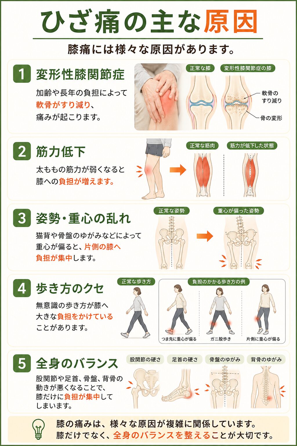 ひざ痛の主な原因  膝痛には様々な原因があります。  ①変形性膝関節症  加齢や長年の負担によって軟骨がすり減り、痛みが起こります。  ②筋力低下  太ももの筋力が弱くなると膝への負担が増えます。  ③姿勢・重心の乱れ  猫背や骨盤のゆがみなどによって重心が偏ると、片側の膝へ負担が集中します。  ④歩き方のクセ  無意識の歩き方が膝へ大きな負担をかけていることがあります。  ⑤全身のバランス  股関節や足首、骨盤、背骨の動きが悪くなることで膝だけに負担が集中してしまいます。