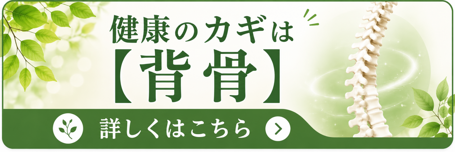 健康のカギは「背骨」